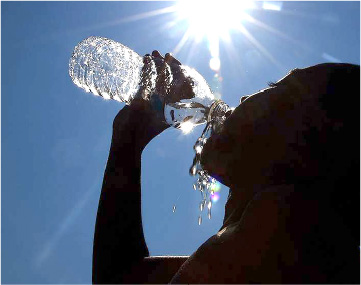 A new application monitors heat-related mortality in Spain.