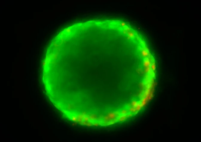 Innovative toxicological approaches