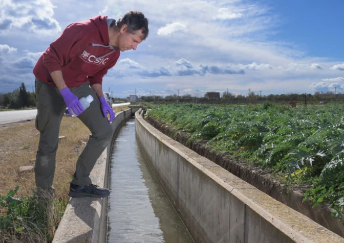 Surface and groundwater dynamics