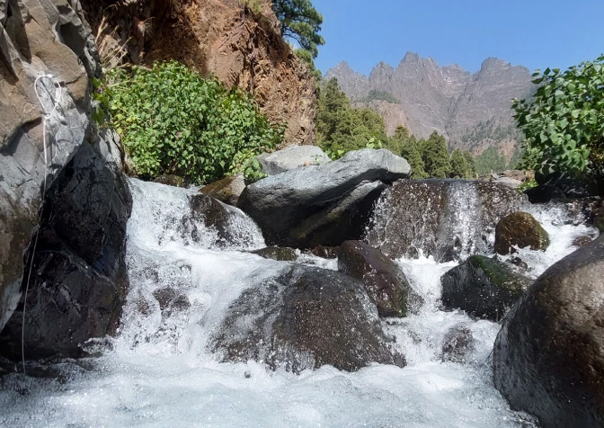 Water and soil pollution: management and reuse