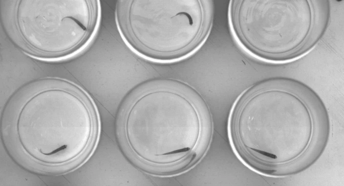 IDAEA Annual Reports feed