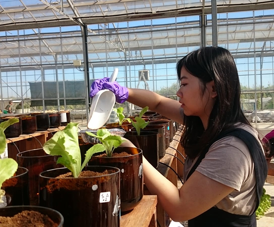 Environmental expertise at your disposal