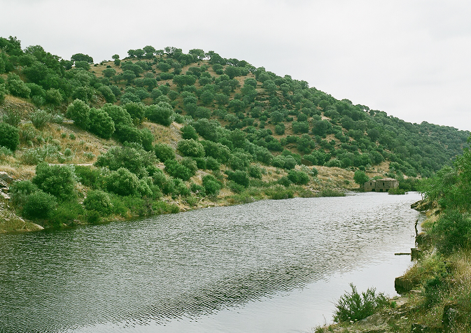 leadership-header-image