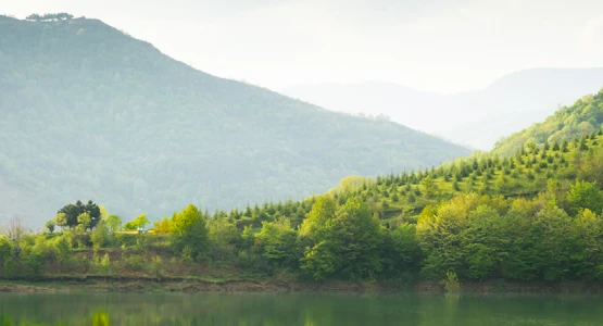 Master's degree certificate in Hydrogeology and Modelling